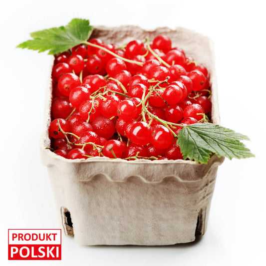 Porzeczka czerwona - opakowanie 250g. 6,90 zl/opak.